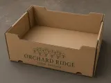 Corrugated Trays — alternative studio angle showing construction