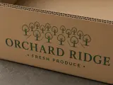 Corrugated Trays — print, material or finishing detail