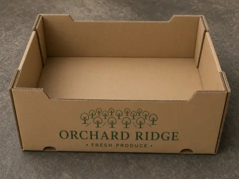 Corrugated Trays — premium catalog hero photograph