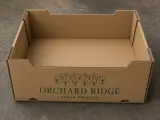 Corrugated Trays — premium catalog hero photograph