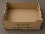 Corrugated Trays — opened or functional construction