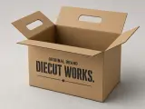 Die-Cut Corrugated Boxes — opened or functional construction