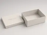 Garment Boxes — opened or functional construction