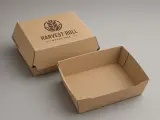 Sandwich Boxes — opened or functional construction